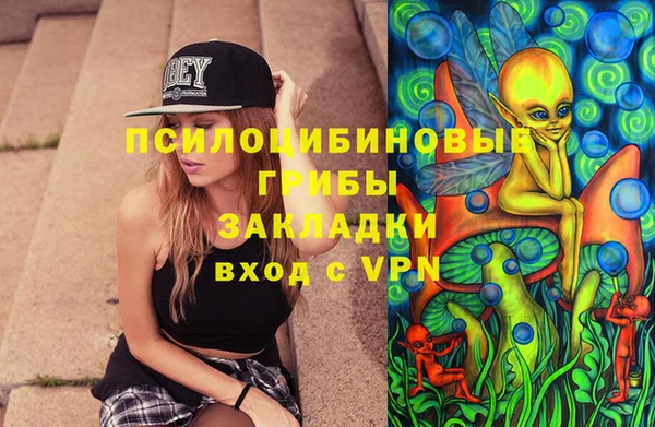 твердый Осташков