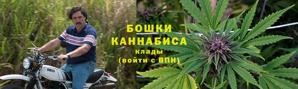 трава Балахна