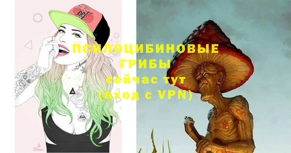 твердый Осташков