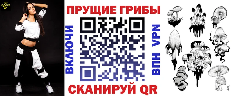 кракен маркетплейс  Сердобск  Галлюциногенные грибы Cubensis 
